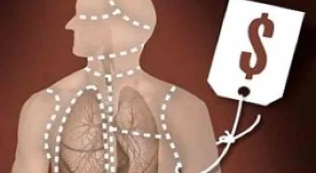 Сотрудничество с Беларусью включает гинекологию и трансплантацию органов