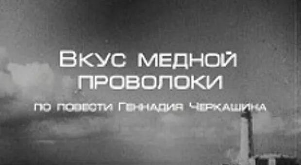 Новости Севастополя - В апреле в Севастополе через АЗС реализовали бензина на 5,5% меньше, чем в марте