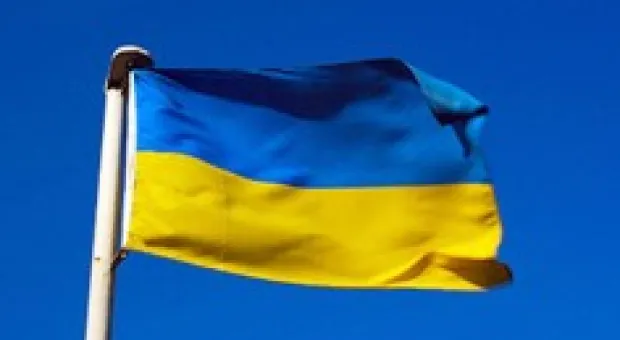 Новости Севастополя - Власти Севастополя планируют в нынешнем году впервые потратить 5 млн. грн. на озеленение города