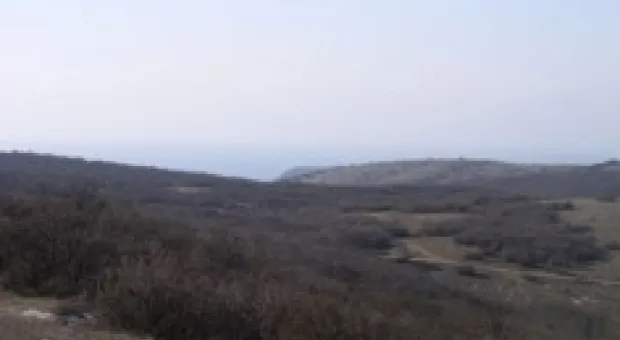 Новости Севастополя - Троллейбус «Маз» на улицах города- НЕ ФАКТ