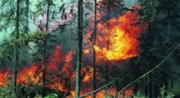 Новости Севастополя - В Севастополе пройдет концерт Светланы Лободы