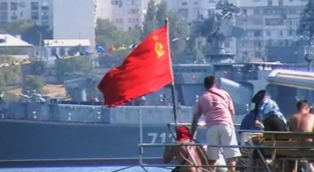 Новости Севастополя - В Севастополе экологи призывают власть сажать деревья исключительно по науке