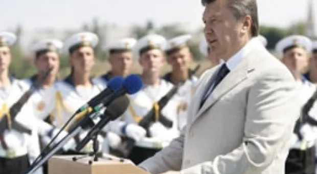Новости Севастополя - Собак в Севастополе стерилизовали до смерти