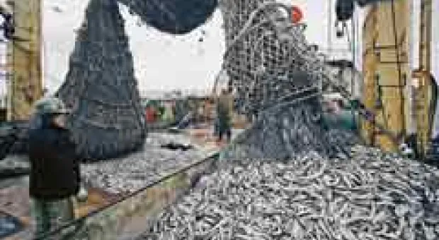 Новости Севастополя - Успехи ветеранов севастопольского баскетбола