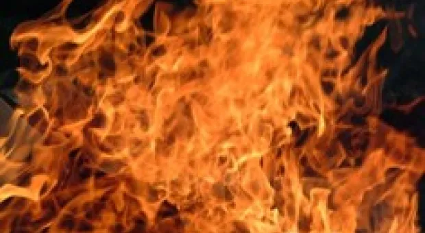 Новости Севастополя - В новом составе Севастопольского городского Совета будет 76 депутатов