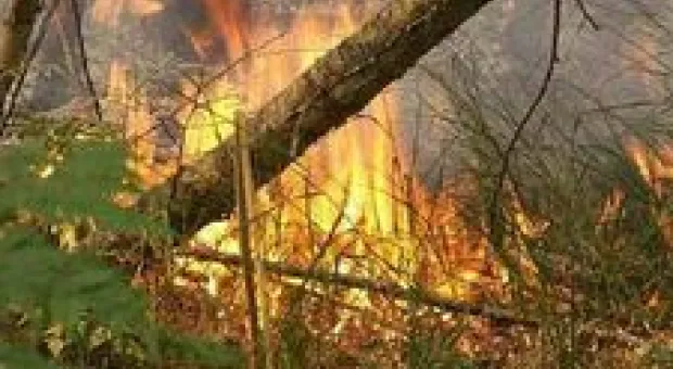 Новости Севастополя - У севастопольской СЭС не хватает сил на проверку всех «пляжных точек питания»