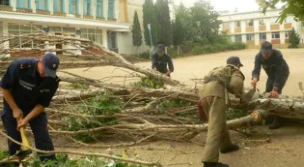 Новости Севастополя - Агахова перешел в "Севастополь"