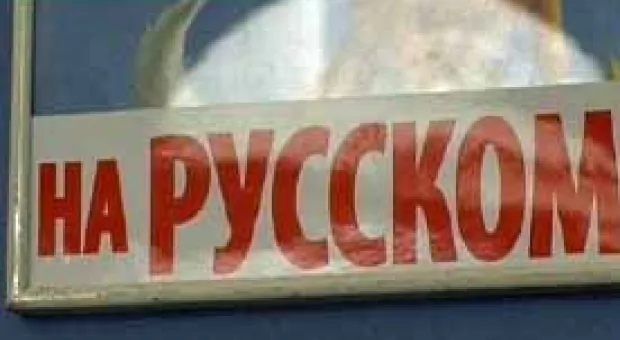 Новости Севастополя - Севастопольским школьникам и студентам рассказали о правах человека