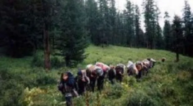 Новости Севастополя - Вчера депутаты ставили оценки руководству госадминистрации