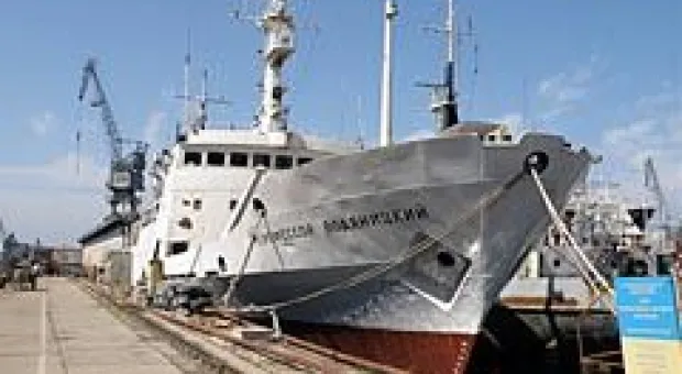 Новости Севастополя - Нелегальные мигранты в Севастополе - в основном азербайджанцы и грузины