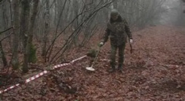 Новости Севастополя - В Севастопольском городском совете избрали председателей постоянных комиссий