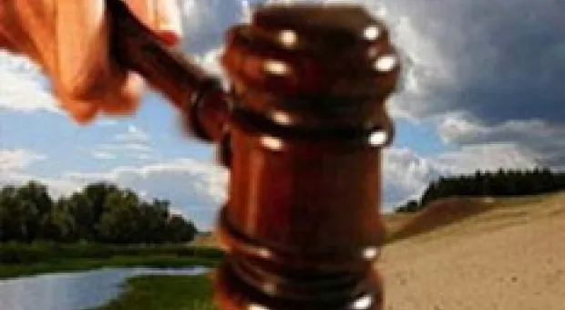 Новости Севастополя - Севастопольский дендропарк Дома природы под угрозой уничтожения