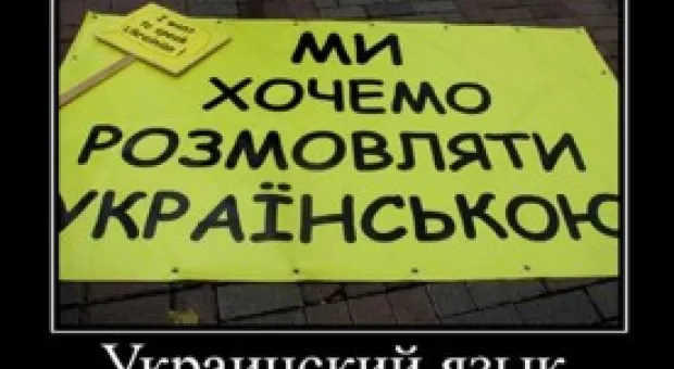 Новости Севастополя - 