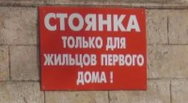 Новости Севастополя - Севастопольские пожарные спасли кошку, которая провела на дереве четыре дня