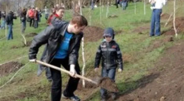 Новости Севастополя - На территории Херсонеса откроют базу подводной археологии НАН Украины
