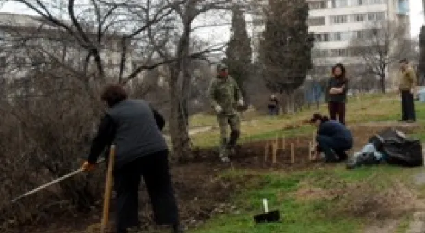Новости Севастополя - В севастопольском троллейбусе женщине оторвало ногу карданом