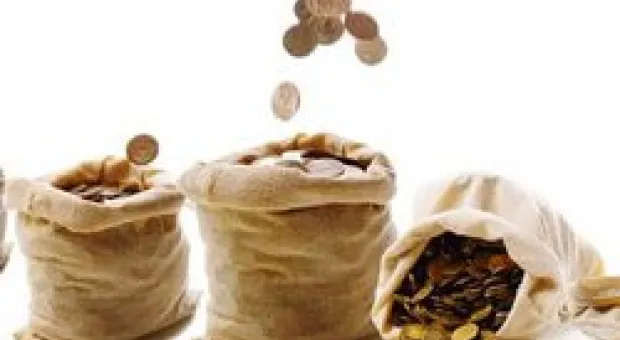 Новости Севастополя - Кипарисовая аллея на Вакуленчука погибла
