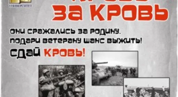 Новости Севастополя - В Севастополе на 5 километре открылся новый оптовый рынок