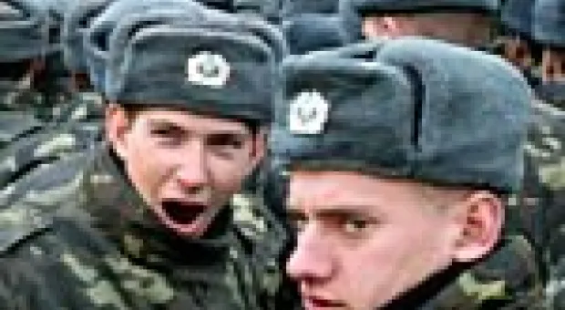 Мировые новости - Верховная Рада поддержала инициативу Януковича о допуске войск НАТО