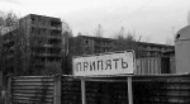 Мировые новости - Усама бен Ладен не попал в рай из-за «свиных» пуль