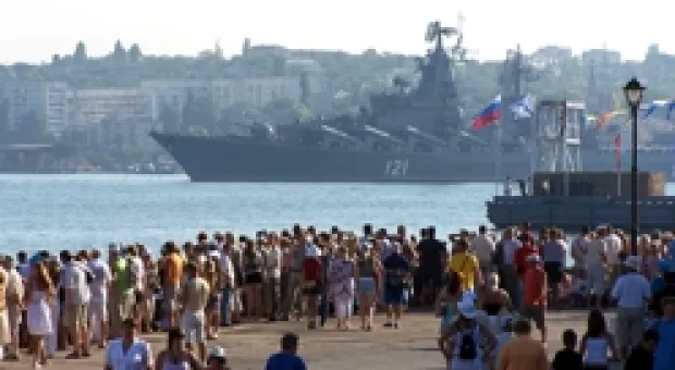 Новости Севастополя - В Севастополе хозяйка поиздевалась над лошадью, покрасив краской для волос