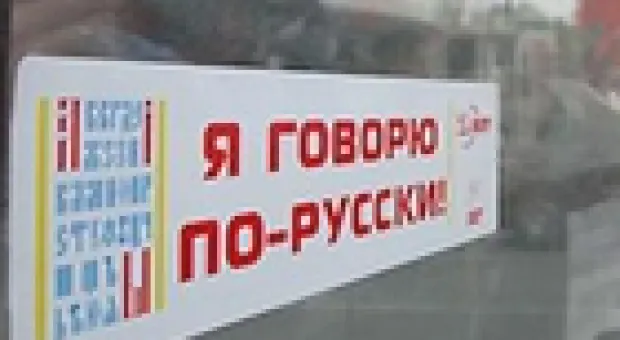 Мировые новости - Рада признала семьи с тремя детьми многодетными