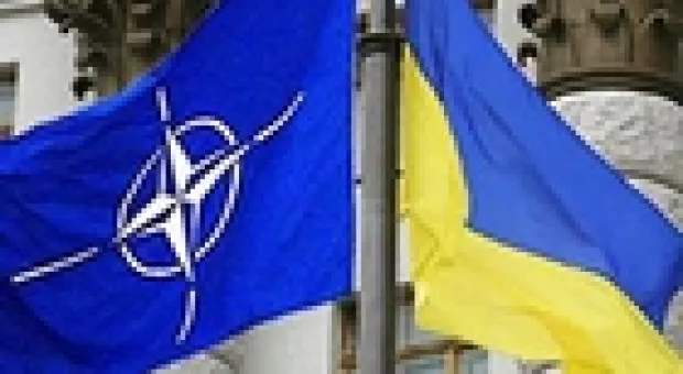 Мировые новости - От депутатов ПАСЕ требуют не задавать острых вопросов Януковичу: "Это неслыханно!"