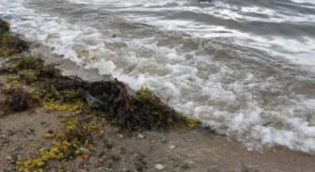 Новости Севастополя - Питьевой воды хватит всем, но лучше к расходованию воды относится более рационально