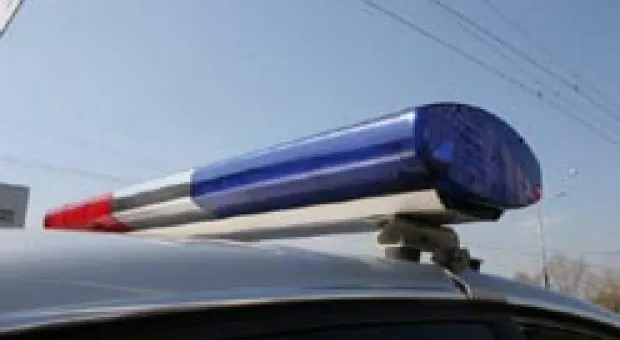 Новости Севастополя - Саперы ведут разминирование близ Севастополя