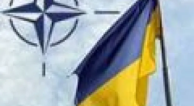 Мировые новости - Украинцы возглавляют списки мигрантов в России и Польше