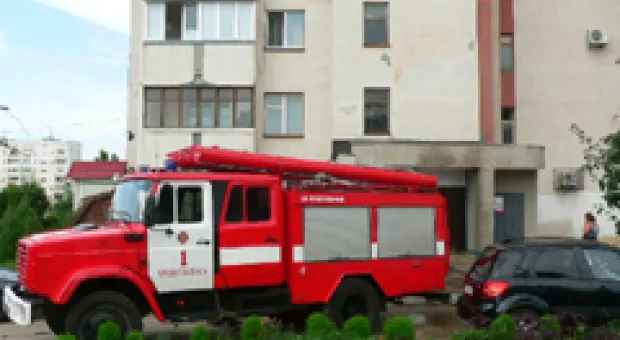 Новости Севастополя - В Севастополе попался еще один турист-воришка, укравший четыре... бильярдных кия