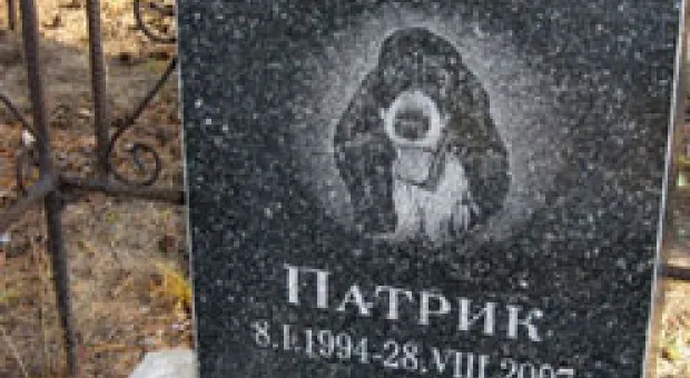 Новости Севастополя - Яндекс выяснил, какие рецепты ищут жители Севастополя