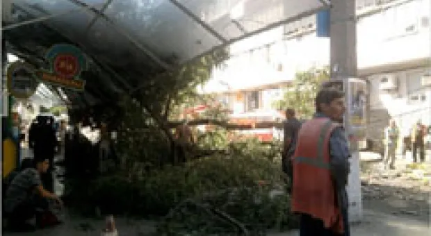 Новости Севастополя - Слепой и глухой мужчина поджег балкон