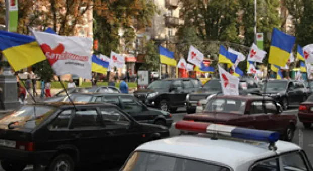 Мировые новости - Рейтинг Партии регионов за год упал в два раза, Тигипко и Тягнибок не проходят в парламент, - опрос