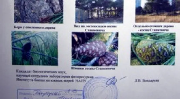 Новости Севастополя - 11 сентября 1854 года – для заграждения входа на Севастопольский рейд были затоплены семь парусных кораблей