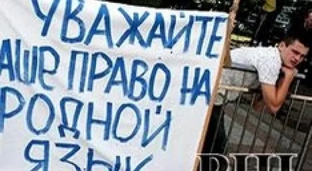 Новости Севастополя - Погиб мопедист, пешеходов сбивали на «зебре» и во дворах: эти и другие происшествия на дорогах Севастополя за ушедшую неделю