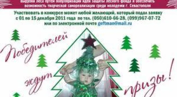 Новости Севастополя - Сколько дали на учёбу? Бюджетные цифры для отрасли образования Севастополя
