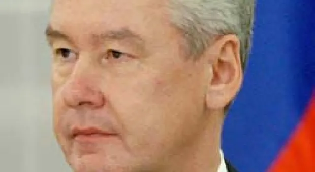 Новости Севастополя - Лесника из-под Севастополя выгонят с работы за желание заработать