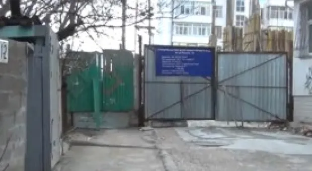 Новости Севастополя - В Севастополе продолжается грибной сезон