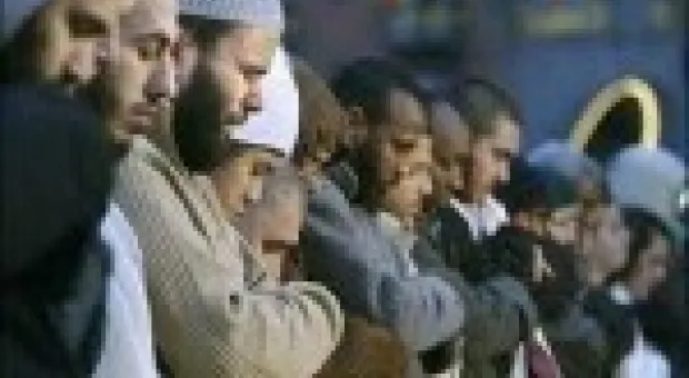 Мировые новости - Фанатское побоище в Египте: после гибели 74 человек на стадионе в Порт-Саид введены войска