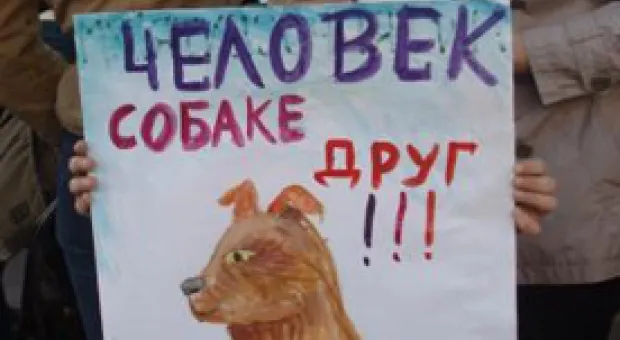 Мировые новости - Запад раздражен позицией России и Китая в сирийском вопросе