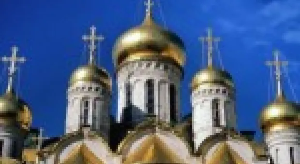 Мировые новости - Вступили в силу Правила транспортировки животных. Крупных собак можно перевозить только в тамбуре...