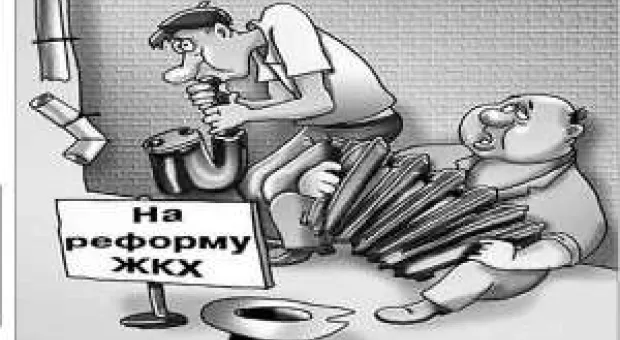 Новости Севастополя - В спортивных школах Севастополя занимаются 5130 детей