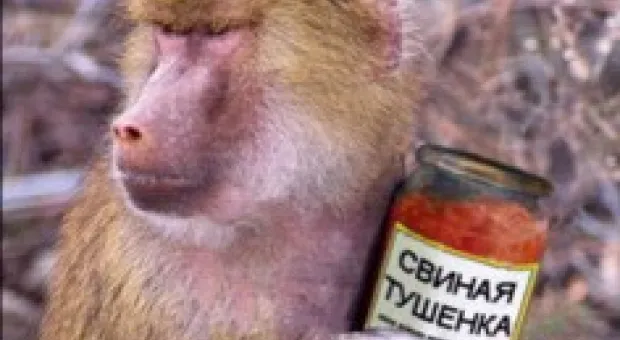 Новости Севастополя - В Севастополе экологический патруль задержал правонарушителя природоохранного законодательства