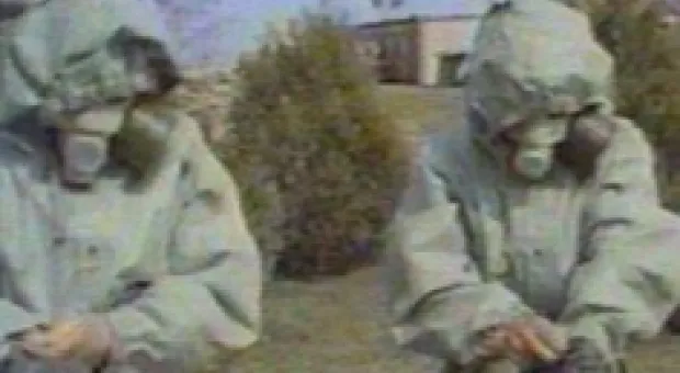 Новости Севастополя - Больше всего свадеб сыграли в Севастополе в Гагаринском районе