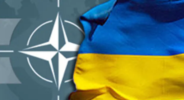 Мировые новости - ТОП-5 лидеров коррупционных структур в Украине: на первом месте - ГАИ