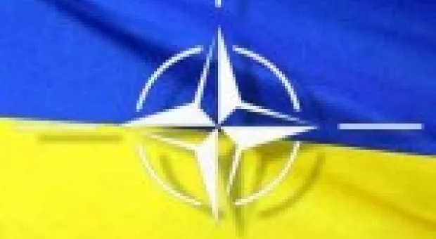 Мировые новости - Янукович создал Конституционную ассамблею во главе с Кравчуком
