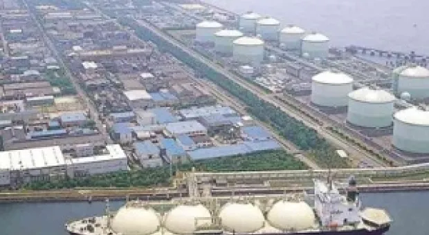 Мировые новости - Футбольные фанаты – новая угроза для Януковича