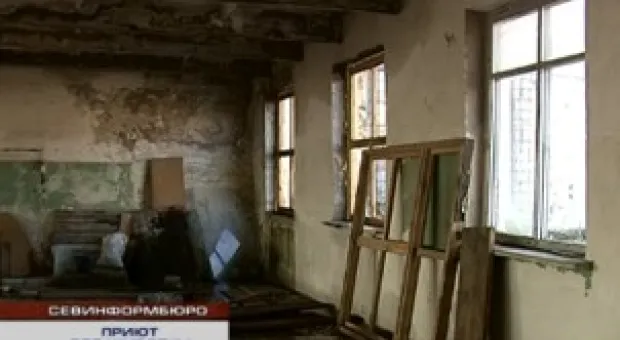 Новости Севастополя - Осталось 56: как в Севастополе живут собаки на Монастырском шоссе