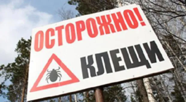 Мировые новости - 